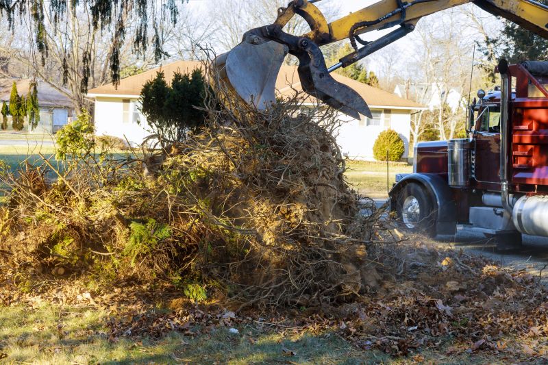 Debris Hauling Vehicles