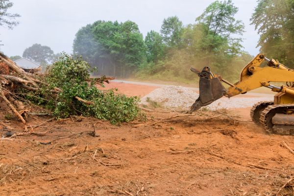 Ground Clearing in Greenville