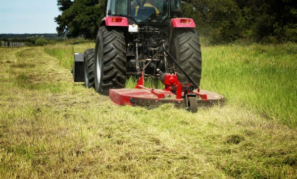 Brush Clearing Service in Greenville