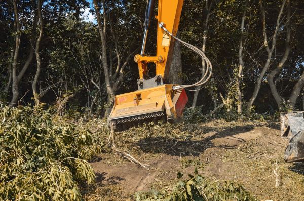 Brush Removal Service in Greenville