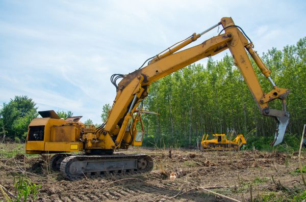 Farm Clearing in Greenville