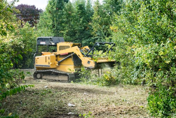 Pathway Clearing in Greenville