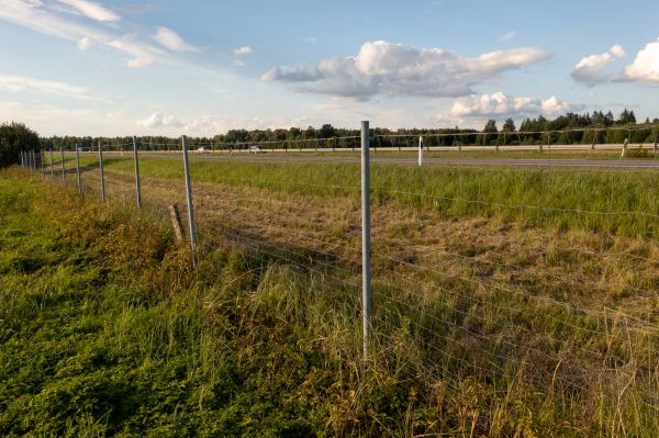 Property Line Clearing in Greenville