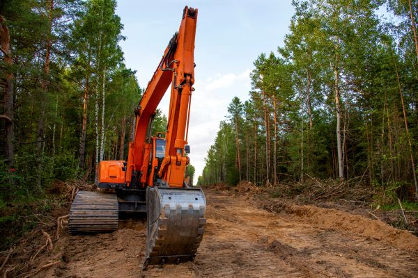 Backhoe Land Clearing in Greenville